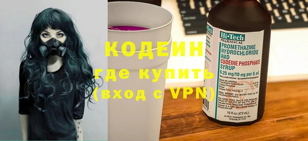 крисы Мегион
