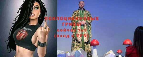 гидропоника Михайлов