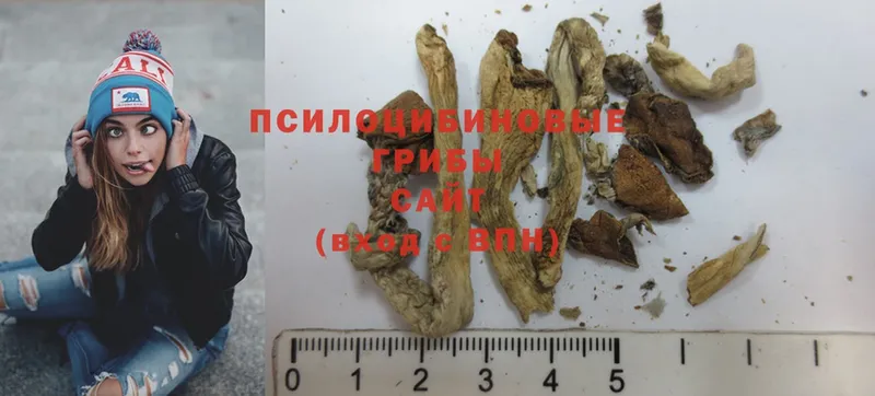 где можно купить   Макушино  Галлюциногенные грибы MAGIC MUSHROOMS 